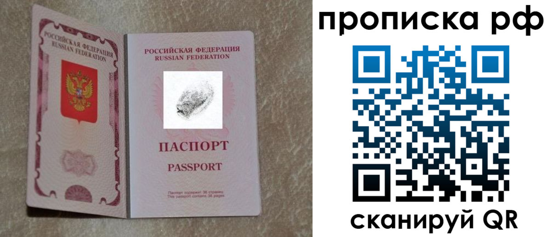 прописка поиск в Сланцах